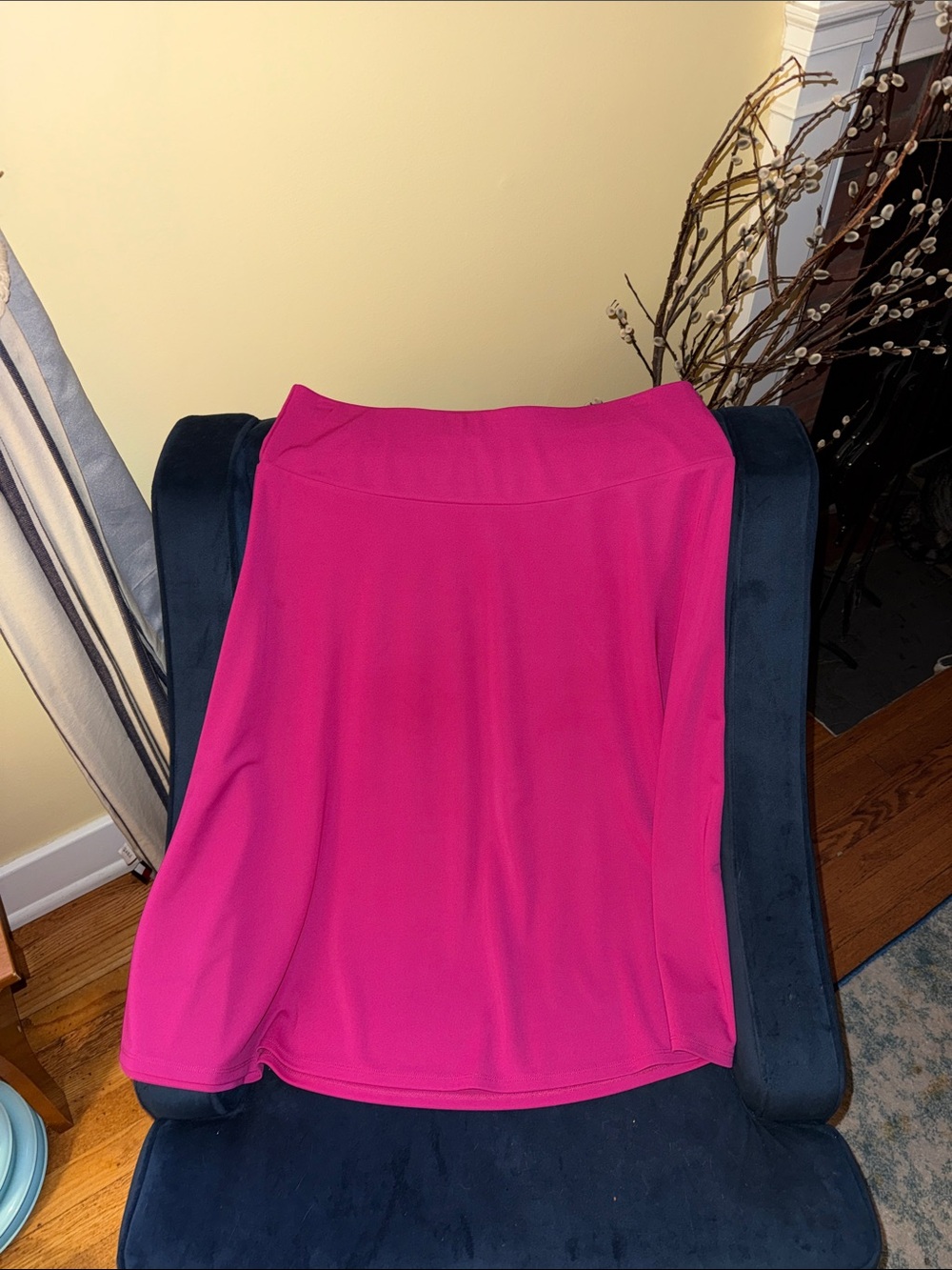 Talbots Hot Pink A-Line Skirt